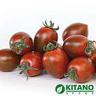 Томат KS 277 F1 Тигрова сливка (коктейльний) 8 шт, фото 2