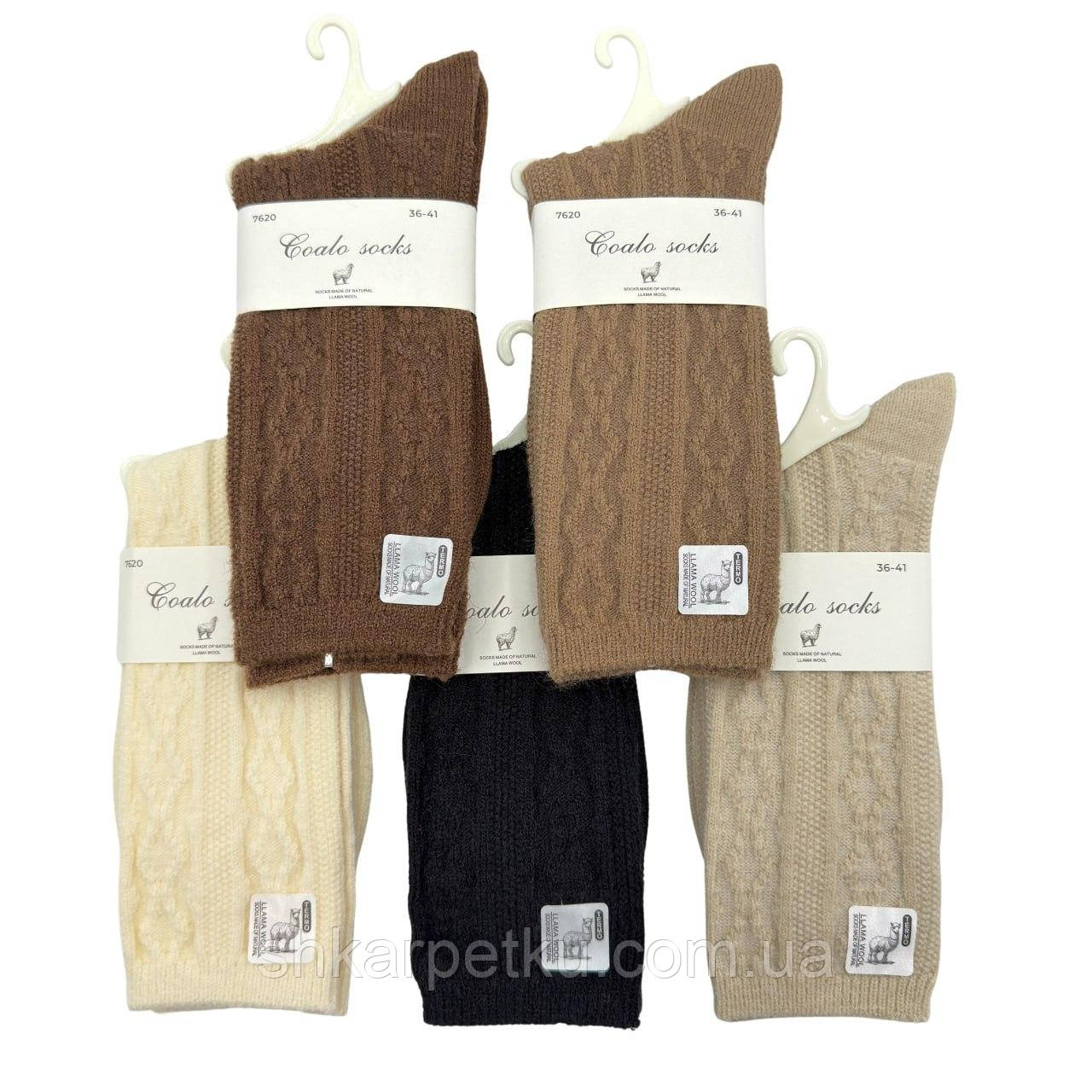 Жіночі зимові високі шкарпетки з вовни лами Coalo у візерунок 10 пар/уп, 36-41, мікс, фото 1