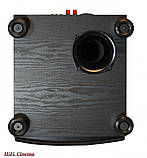 PSB SubSeries 300 - Активний сабвуфер, фото 3