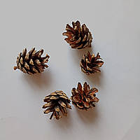 Декор соснова Шишка мала