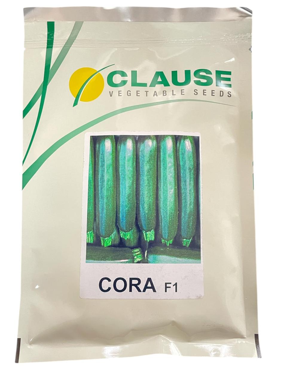Кабачек цукіні Кора 500.н. (цукіні зелений)