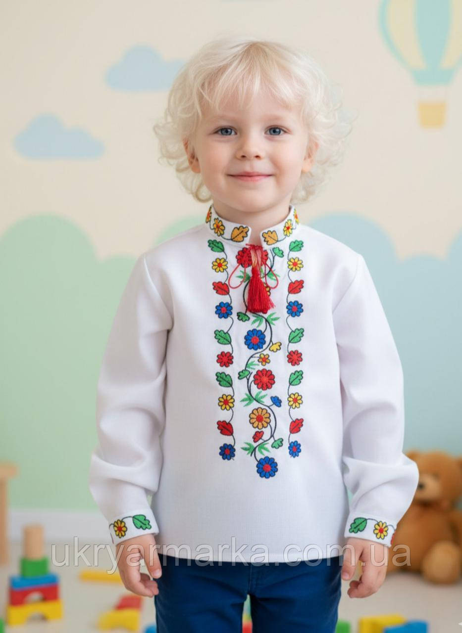 Вишита дитяча сорочка для хлопчика " Олесик"