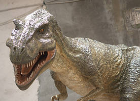 Динозавр T-REX 03 розмір: 3 x 7 x 1,5 м Скульптура Смола