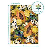 Пазл "Dodo Ботаніка. Тропічні фрукти" 770 ел, фото 4