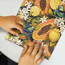 Пазл "Dodo Ботаніка. Тропічні фрукти" 770 ел, фото 5