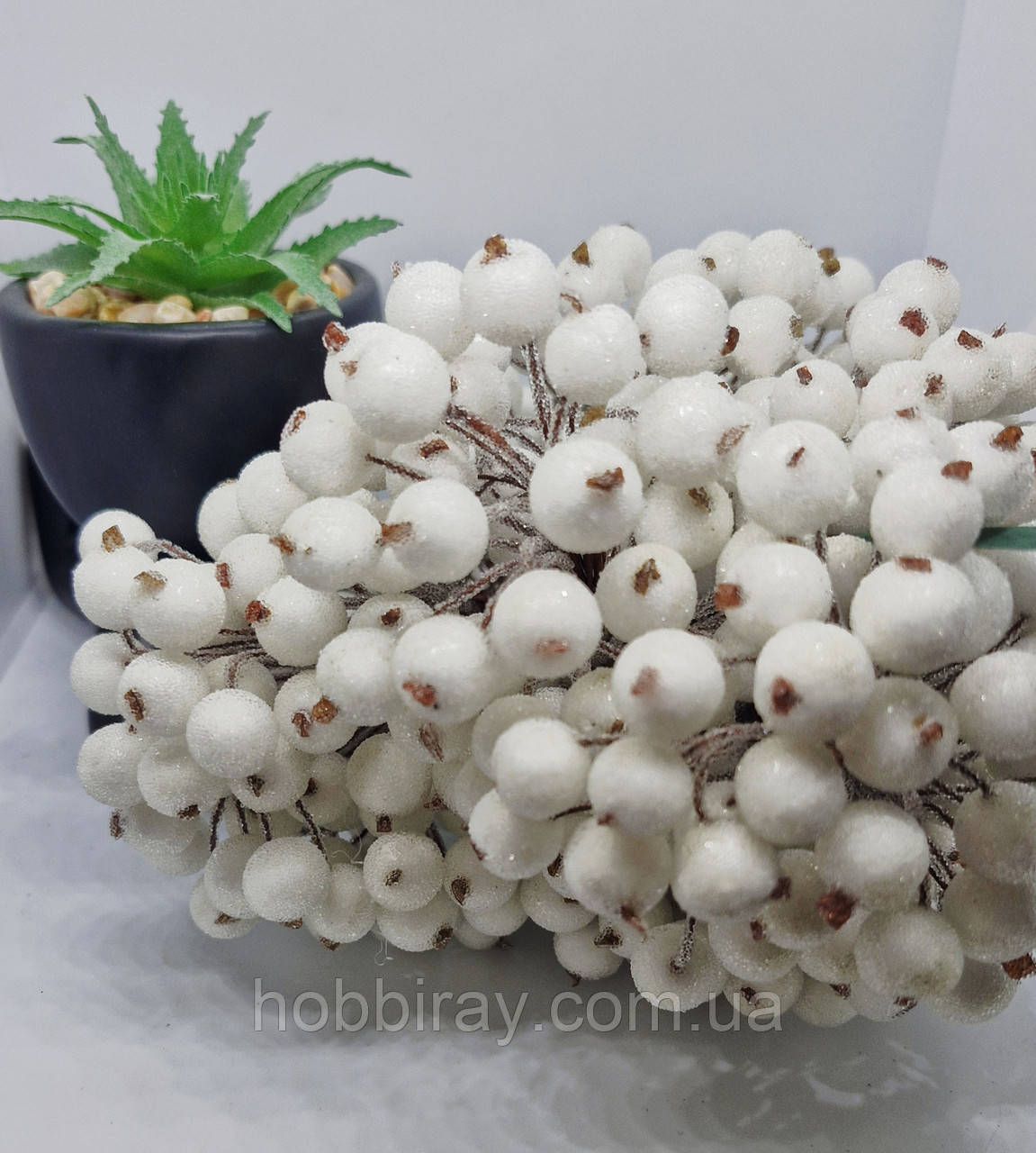 Калина цукор. Диаметр 1,2см. 40шт в пучке. Колір білий., фото 1