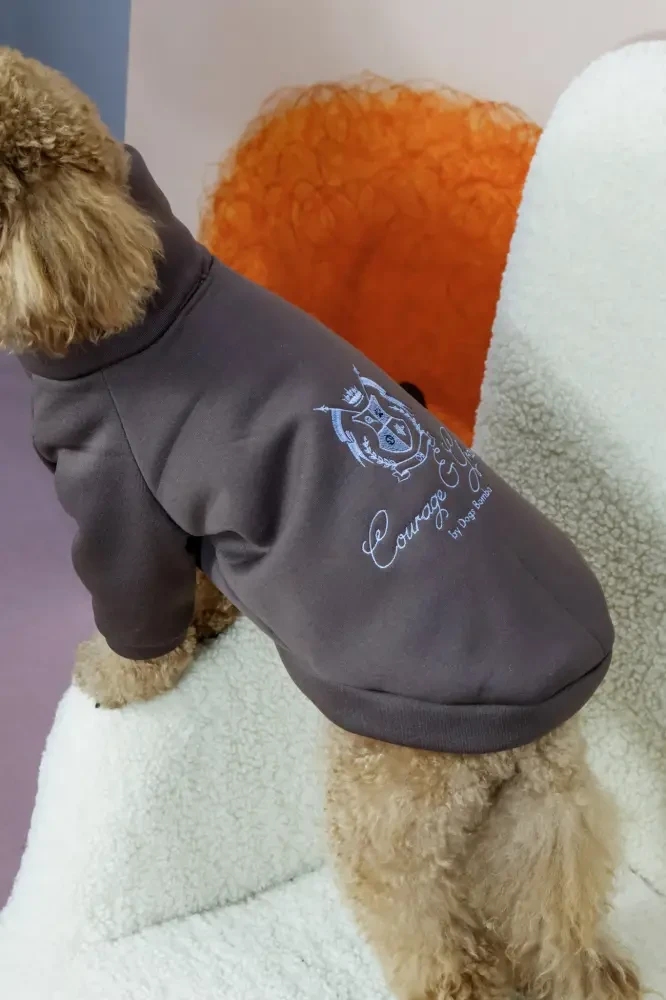 Толстовка 28 см (об'єм до 38см) Кураж шоколад розмір 4 для собак S, фото 1