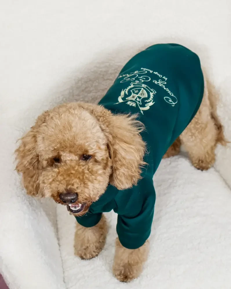 Толстовка 36 см (об'єм до 50см) Кураж смарагд розмір 6 для собак S, фото 1
