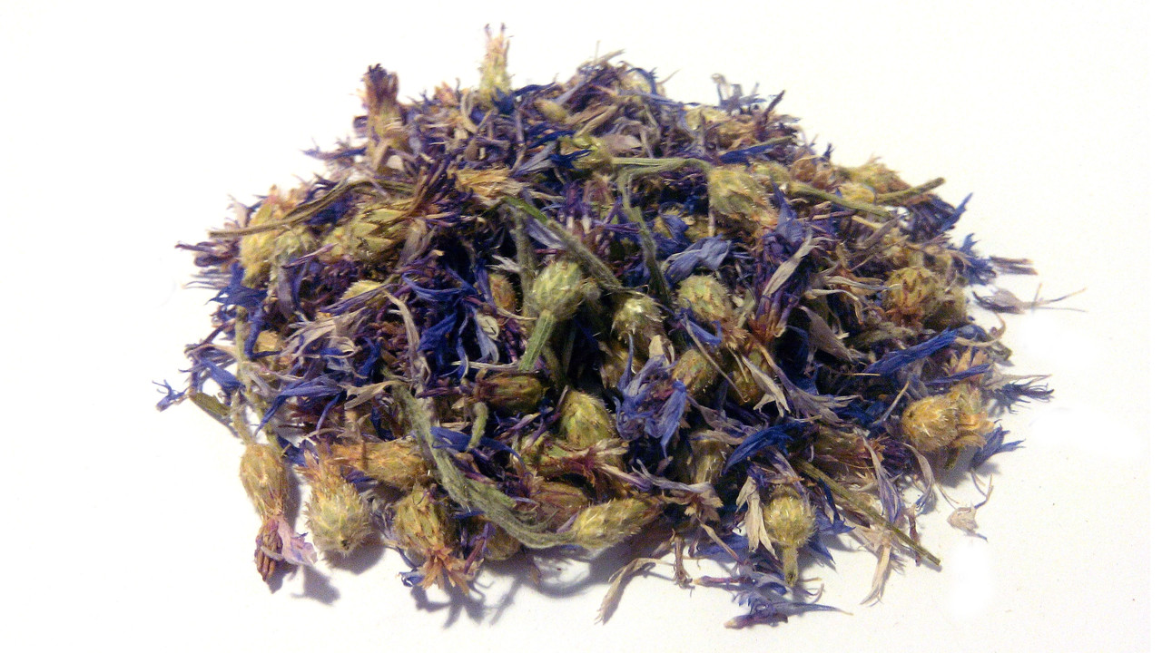 Волошка синя квітки (Волошка посівної)