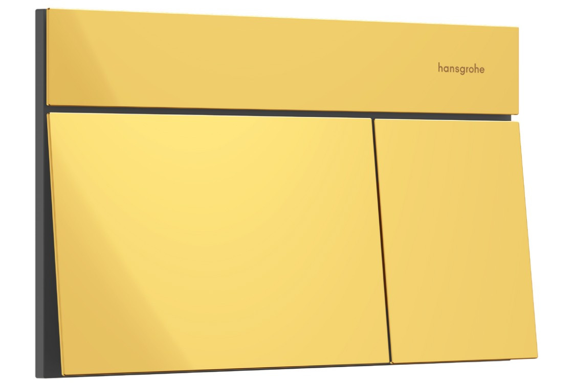 Панель змиву iFrame Element E Polished Gold Optic (66003990), фото 1