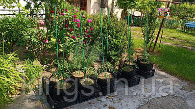 Опора для рослин PLUS Ø 10 (2 ребра) мм ТУ, фото 3