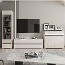 Тумба під телевізор у вітальню з RTV2S Лондон Gerbor Кашемір/Антрацит, фото 3