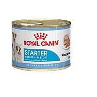 Корм для цуценят і вагітних собак Starter Mousse ніжний мус 195 г Royal Canin