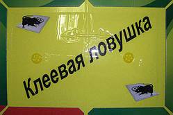 Мишоловка, Catch Expert 17х24 см, капкан на щура, клейова пастка