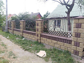 Паркан кований Іра ( Іра) без пластику