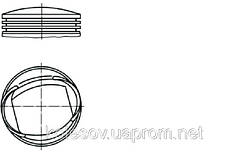 Поршни FORD Fiesta (Orion, Escort) 1.6 CVH
