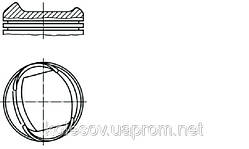 Поршни FORD Fiesta (Orion, Escort) 1.6 CVH