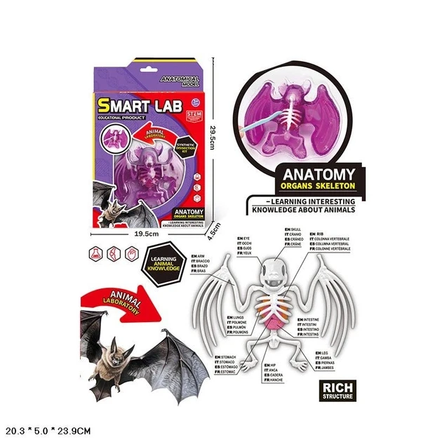 Product image preview