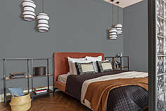 Фарба Інтер'єрна Латексна Skyline RAL 7012 Графітовий Шторм 1л, фото 4