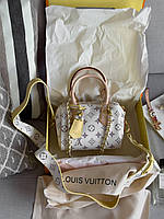 Louis Vuitton Speedy Nano