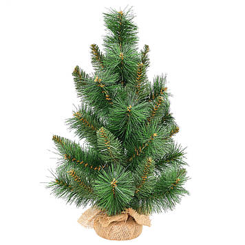 Сосна YES! Fun Царська 60 см Зелений (903709)