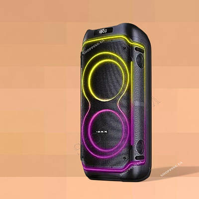 Акустичная переносная колонка ZXX-5530 2x8