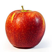 Яблука сорту "Джонаголд"