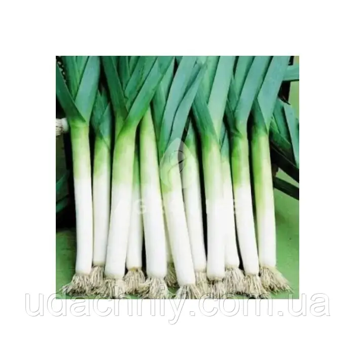 Цибуля Порей 1г
