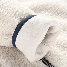 Флісова кофта Alpine Pro Ferada 2 Wmn, Бежевий, XS (LSWF47B128 XS), фото 4