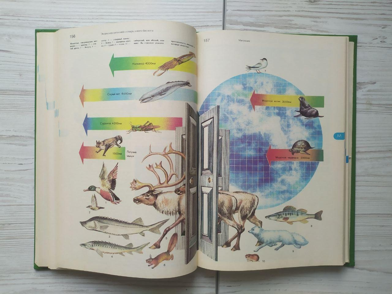 Product image preview