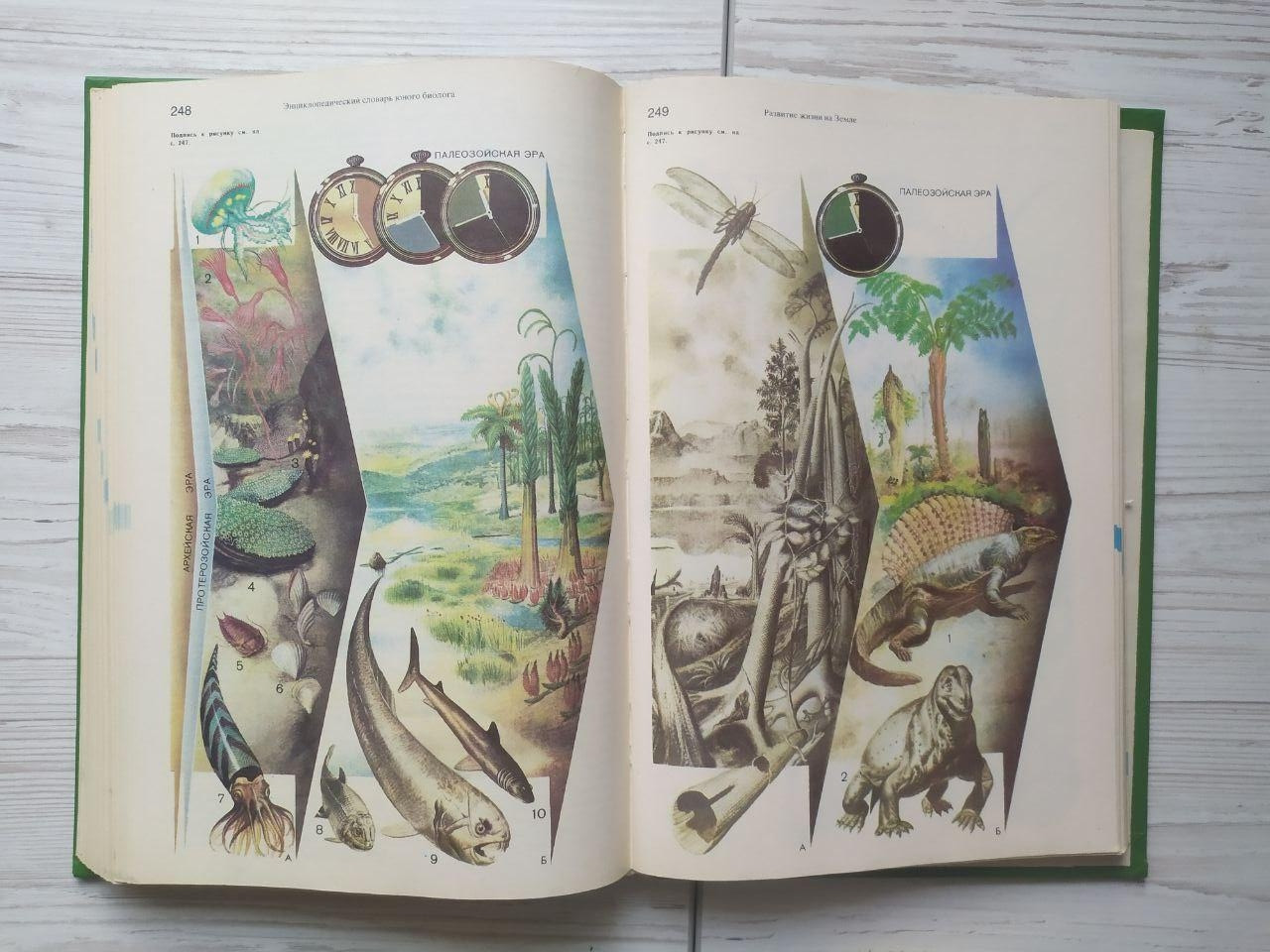 Product image preview