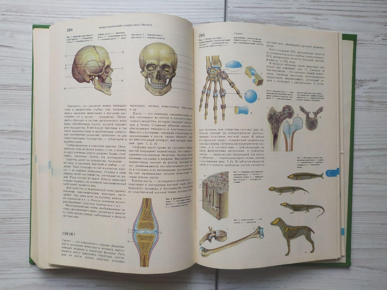 Product image preview