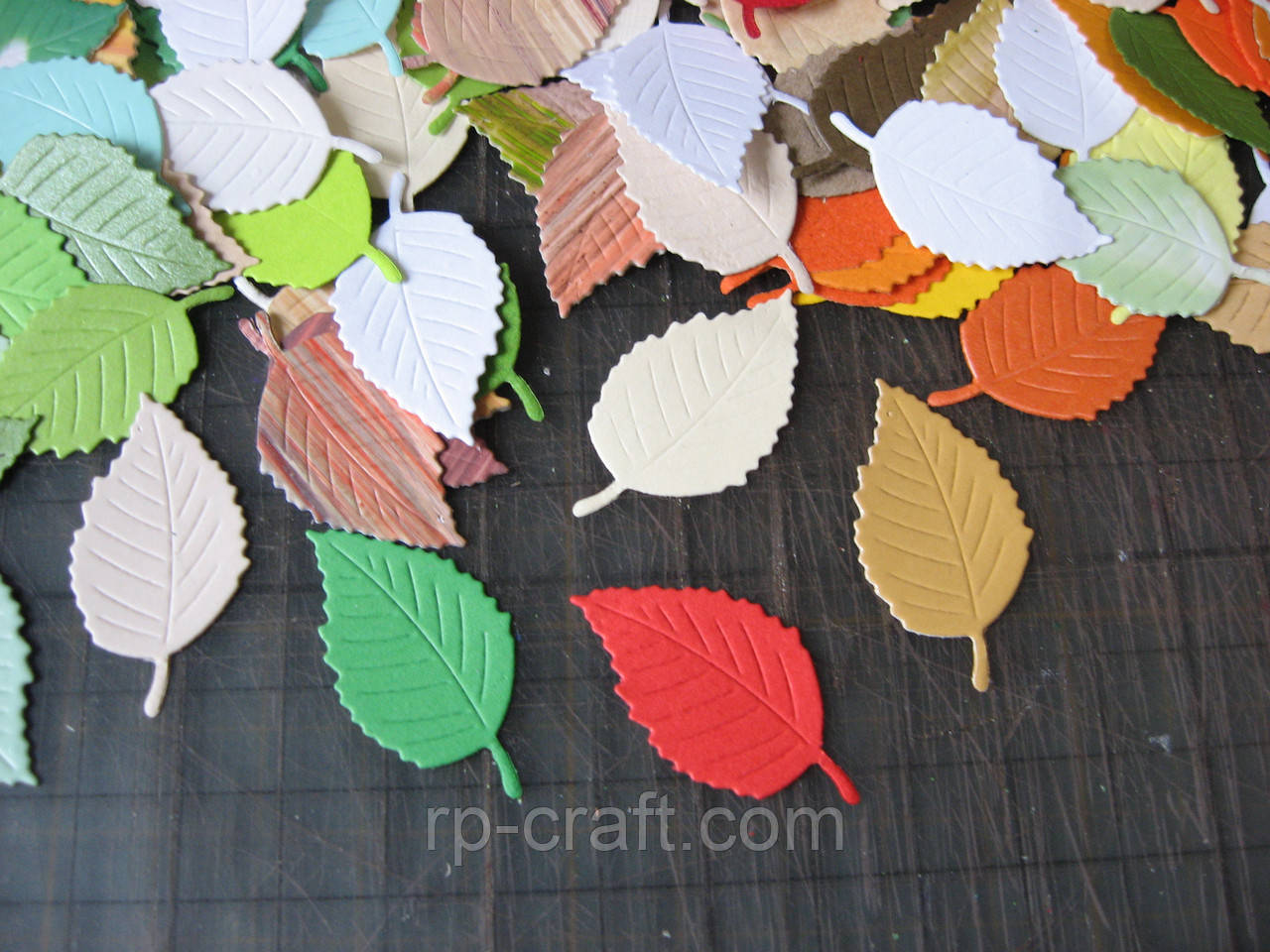 Набір висічок із паперу та картону. Листя в'язу, 20 штук, 18х35 мм, фото 1