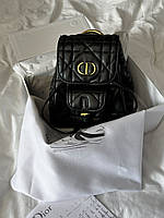 Dior Backpack Small Black with Gold