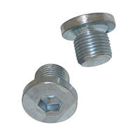 Пробка піддону Ford, Peugeot,Volvo, (M14x1.25) (FA1) SVS-257.819.001