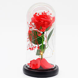 Троянда в колбі з підсвічуванням від батарейок 22х8,5см, Червона / Нічник вічна троянда / Квітка в колбі / Древо Любові