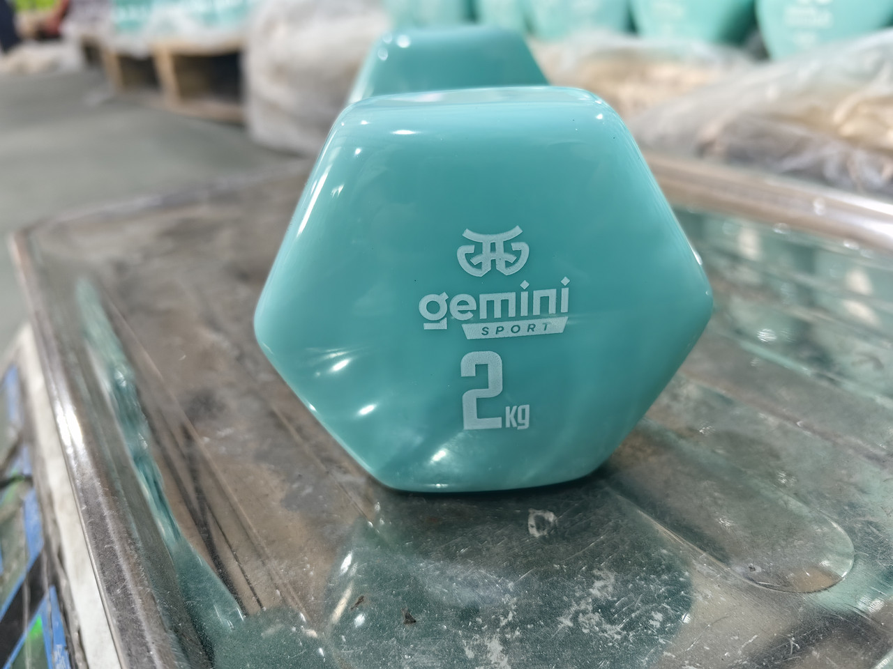Гантель для фітнесу з вініловим покриттям 2 шт. по 2.0 кг Gemini Sport GSD-2.0CYAN, фото 1