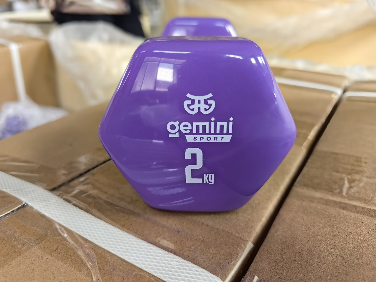 Гантель для фітнесу з вініловим покриттям 2 шт. по 2.0 кг Gemini Sport GSD-2.0PUR, фото 1