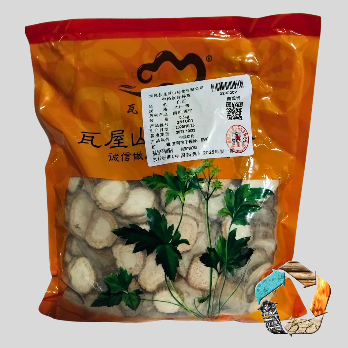 Коріння Дягеля Даурського (Radix Angelicae Dahuricae) Bai Zhi, фото 1