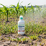 Гербіцид Ураган Форте, Syngenta, 300 мл — системний гербіцид суцільної дії від бур'янів для саду, городу та полів, фото 4