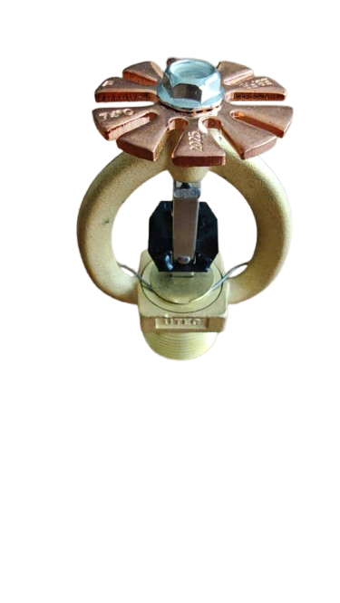 Спринклер ESFR K-363 1"  74C Швидкого реагування розеткою вниз, фото 1