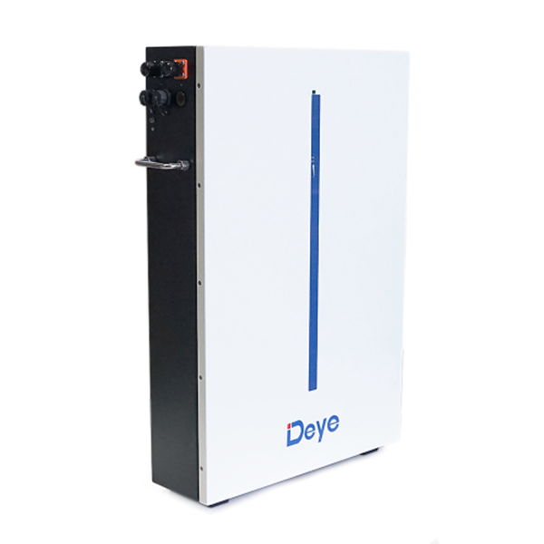 Акумуляторна батарея Deye LiFePO4 RW-M6.1-B (51.2V 120Ah), фото 1