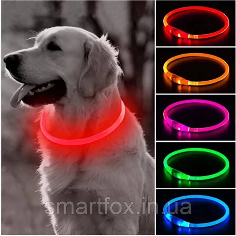 Нашийник світний для собак розмір M