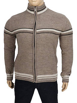 Зимова чоловіча кофта Turhan 589 Vizon