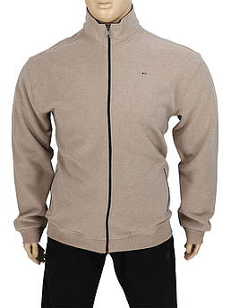 Бежева чоловіча кофта Zinzolin 3688 Su Bej великого розміру