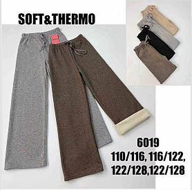 Штани утеплені для дівчаток оптом, 110/116-122/128 рр., арт. 6019
