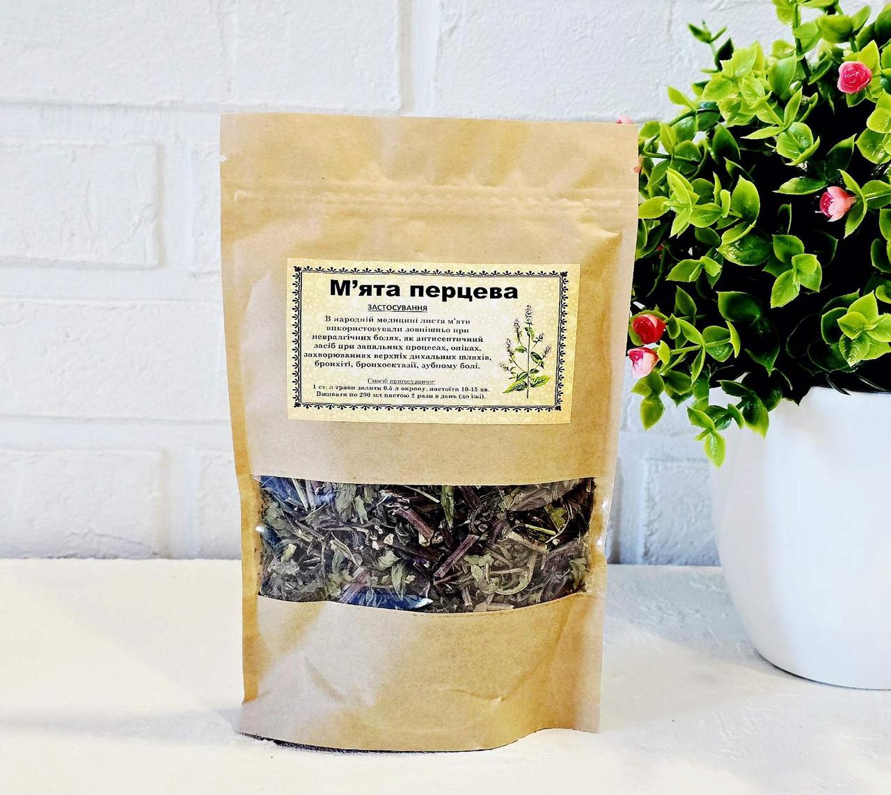 М’ята перцева