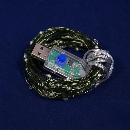 Гірлянда Роса 10м USB 100 LED на зеленій проволоці Білий, фото 2