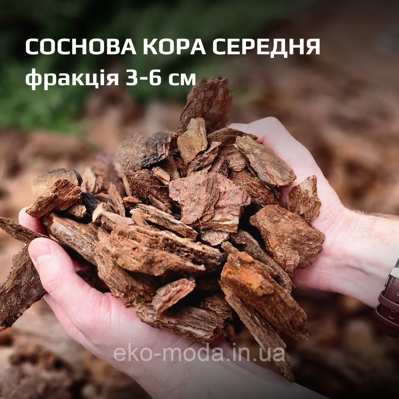 Тільки ОПТ! Кора соснова, фракція 3-6 см - СЕРЕДНЯ, фото 1