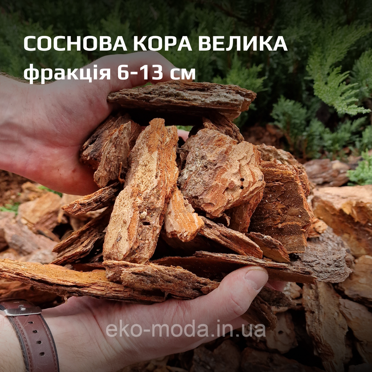 Кора соснова, фракція 6-13 см - ВЕЛИКА